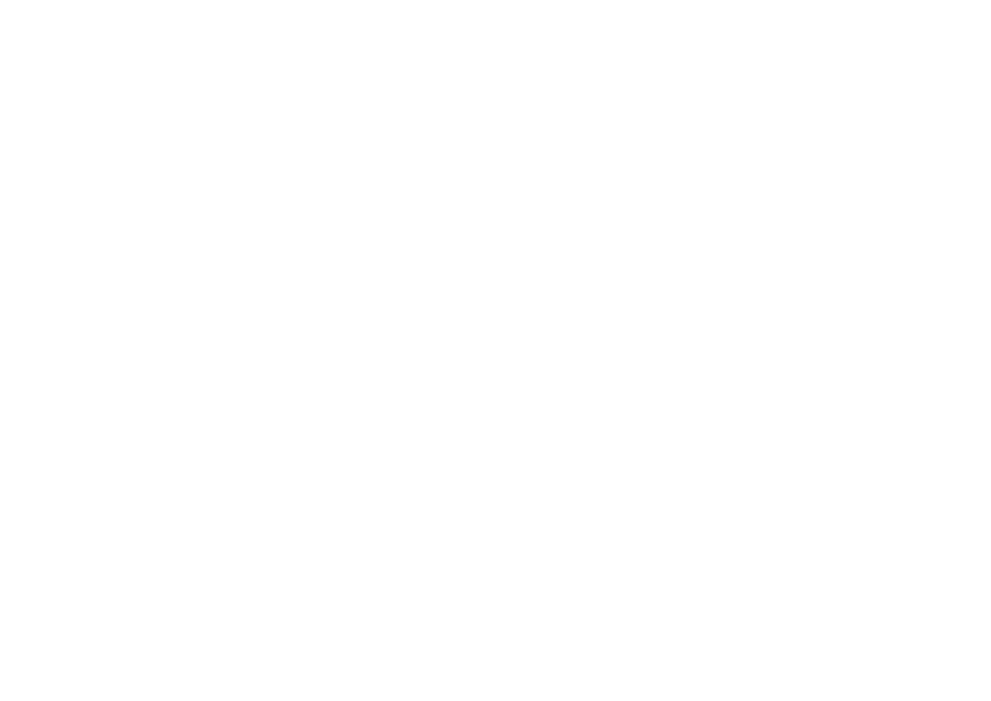 Agent Visa Logo
